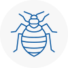 Bed Bug Extermination In Port Glasgow